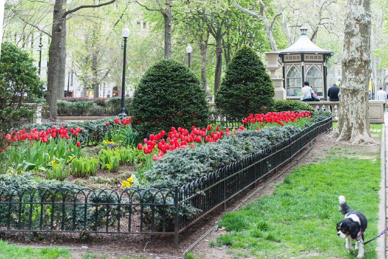 20150427_141516 D4S.jpg - Rittenhouse Square is one of the five original open-space parks planned by William Penn and his surveyor Thomas Holme during the late 17th century in central Philadelphia